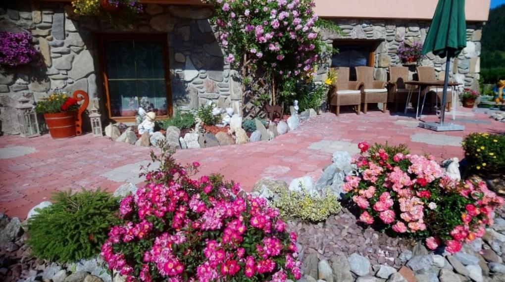 Ow. Orla Perc Bed & Breakfast Murzasichle Exterior photo